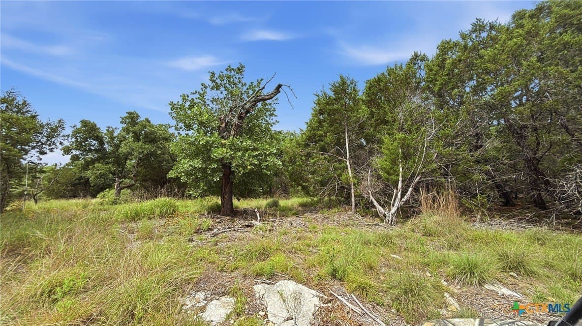 10.01 acres in Hamilton County - photo 9