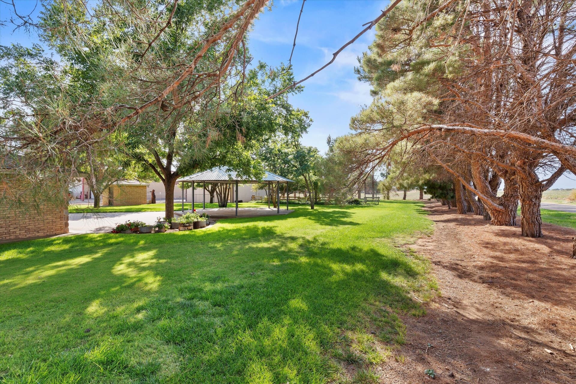 29.07 acres in Hockley County gallery image 4