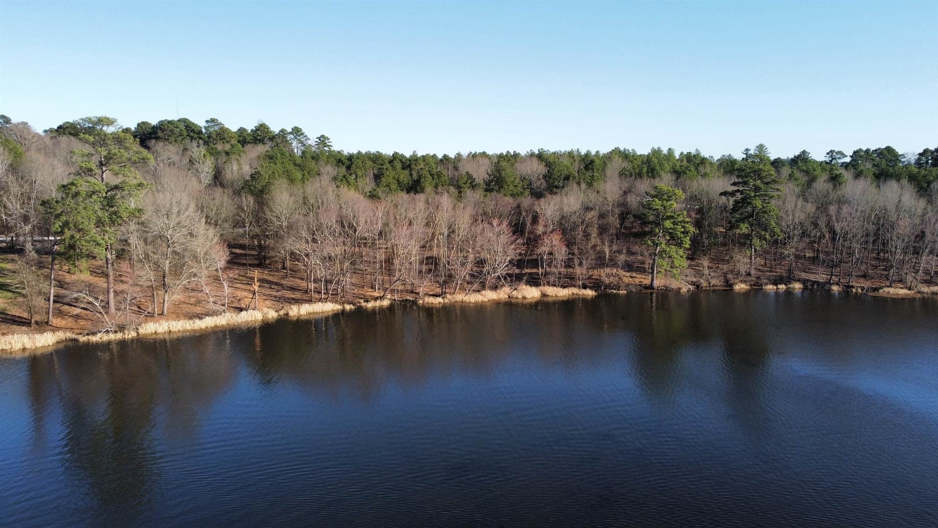 0.75 acres in Texas County - photo 5