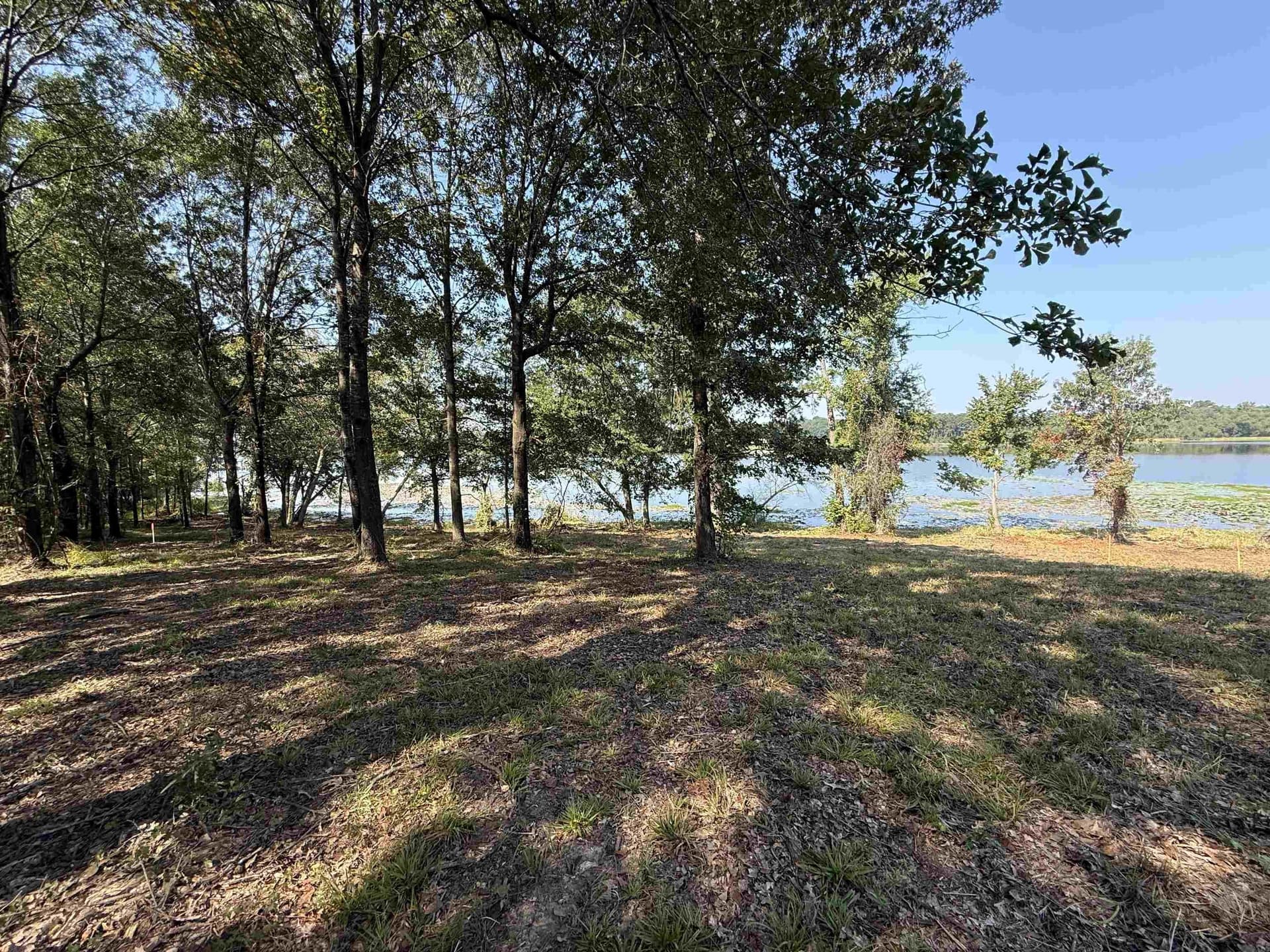 0.75 acres in Texas County - photo 3