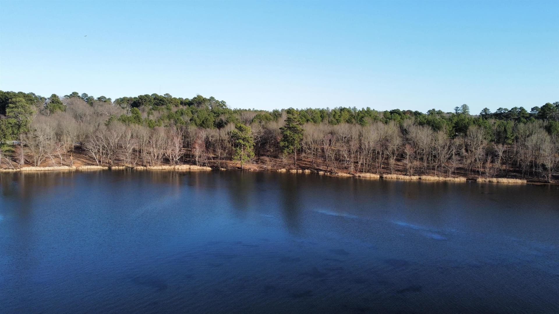 0.75 acres in Texas County - photo 9