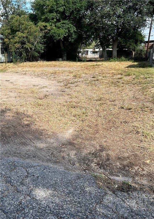 0.17 acres in Jim Wells County gallery image 2