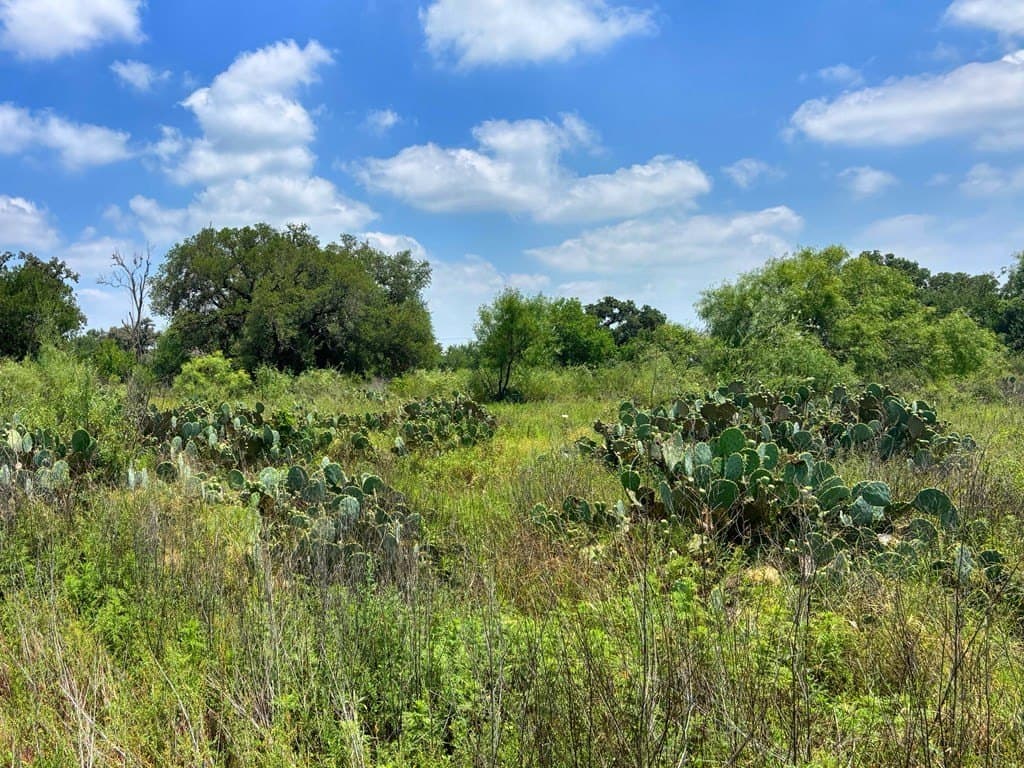 2.03 acres in Real County - photo 8