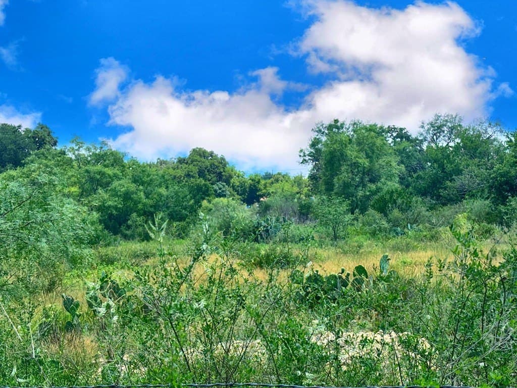 2.03 acres in Real County featured view