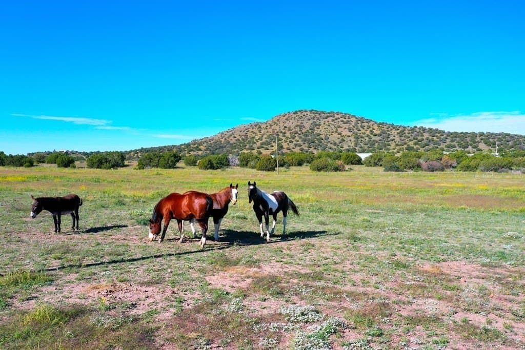 105.62 acres in Brewster County gallery image 4