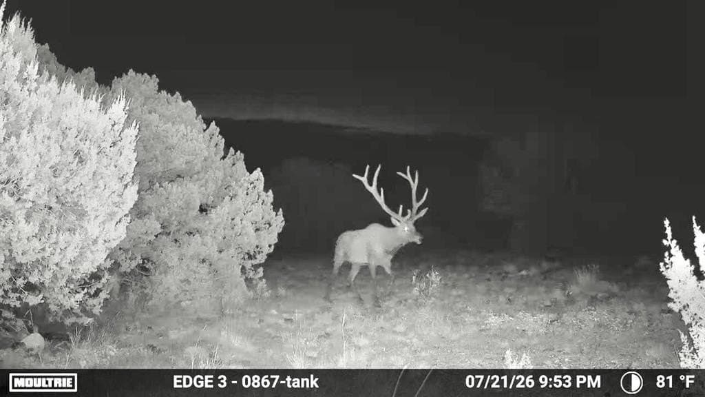 105.62 acres in Brewster County - photo 49