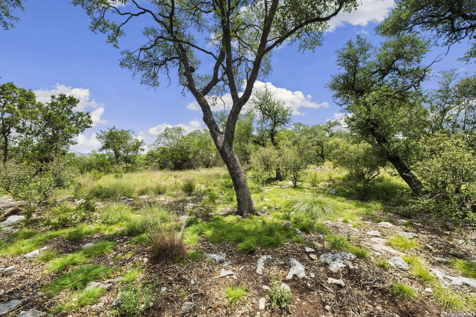 1.04 acres in Comal County - photo 2
