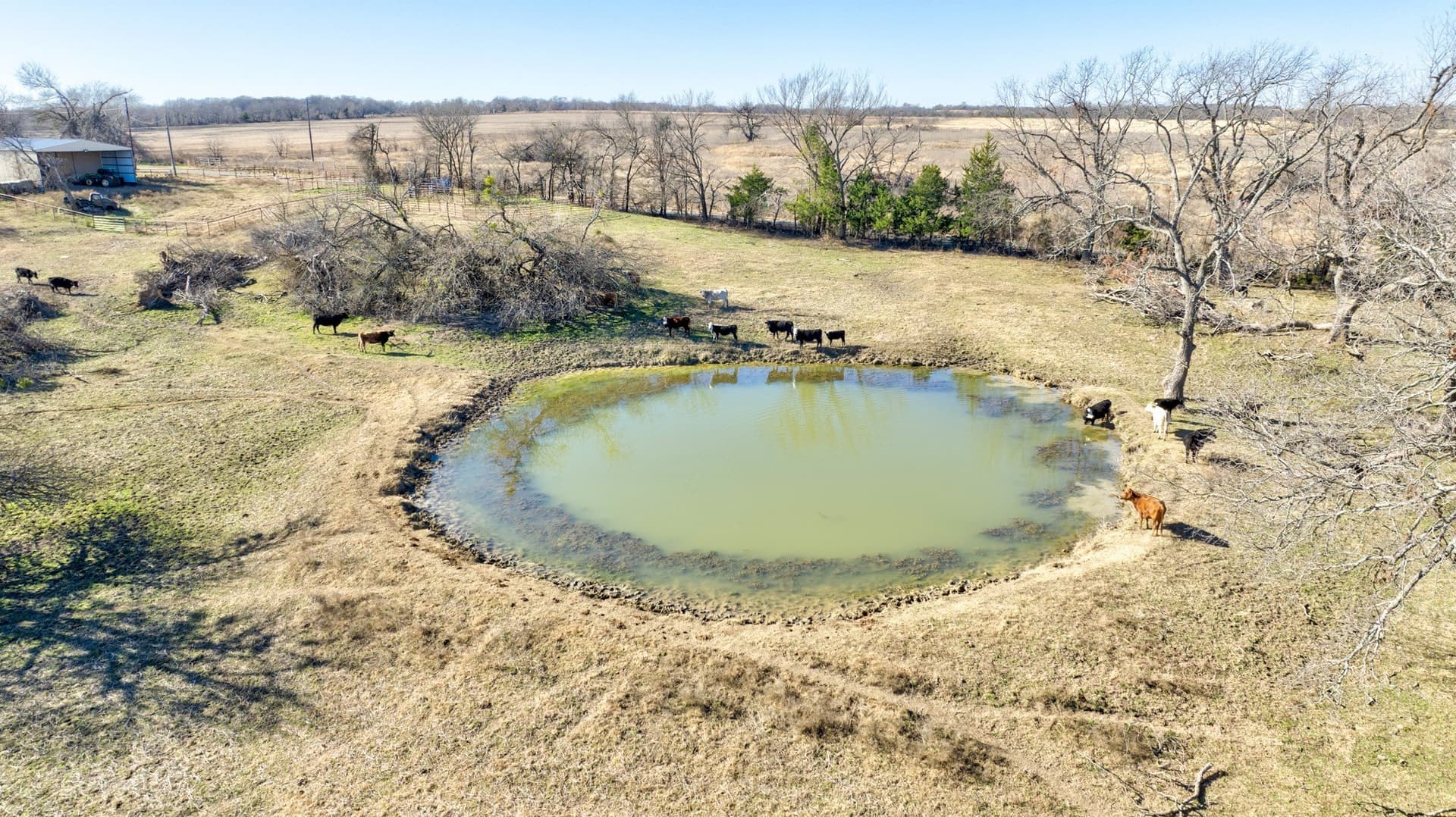 49 acres in Grayson County - photo 4