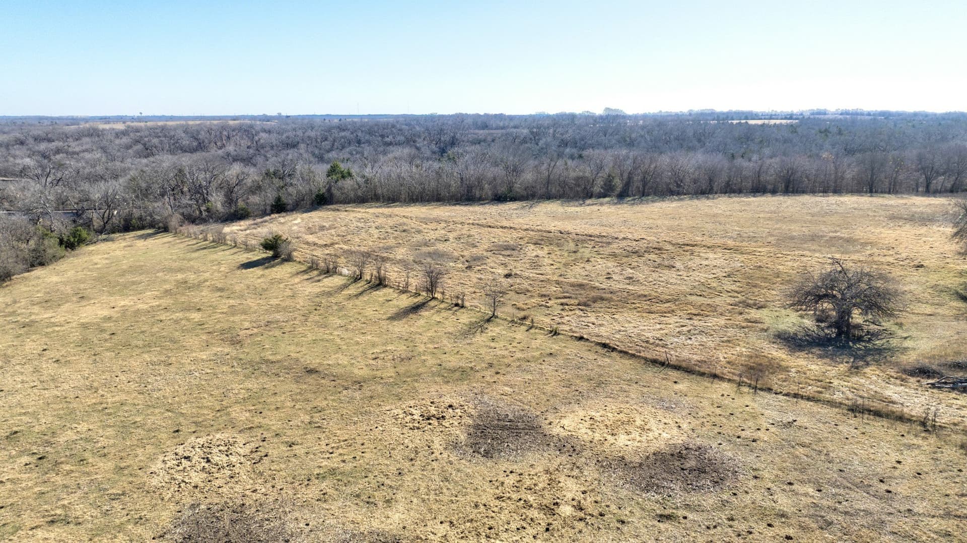 49 acres in Grayson County - photo 2