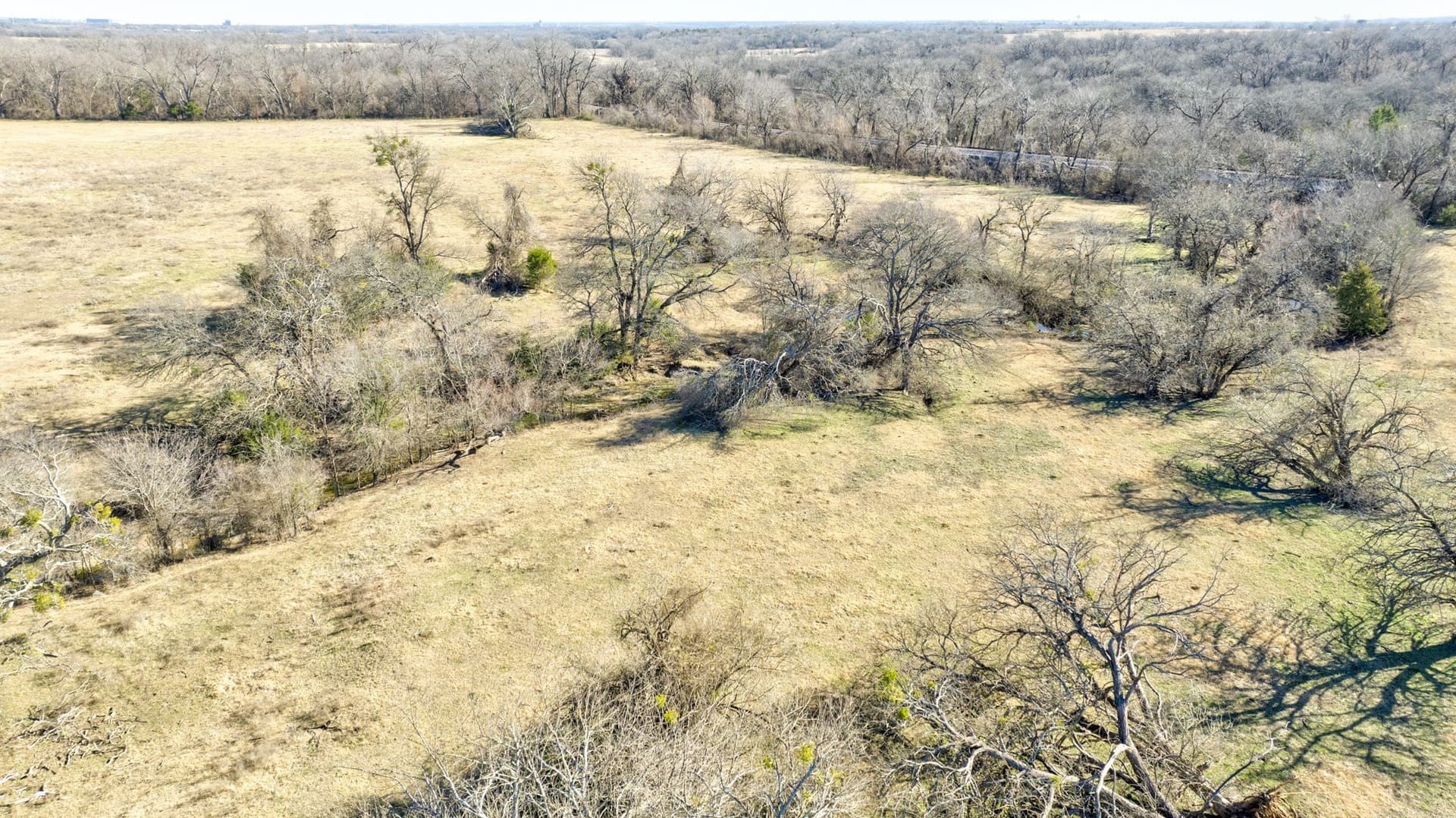 49 acres in Grayson County - photo 12
