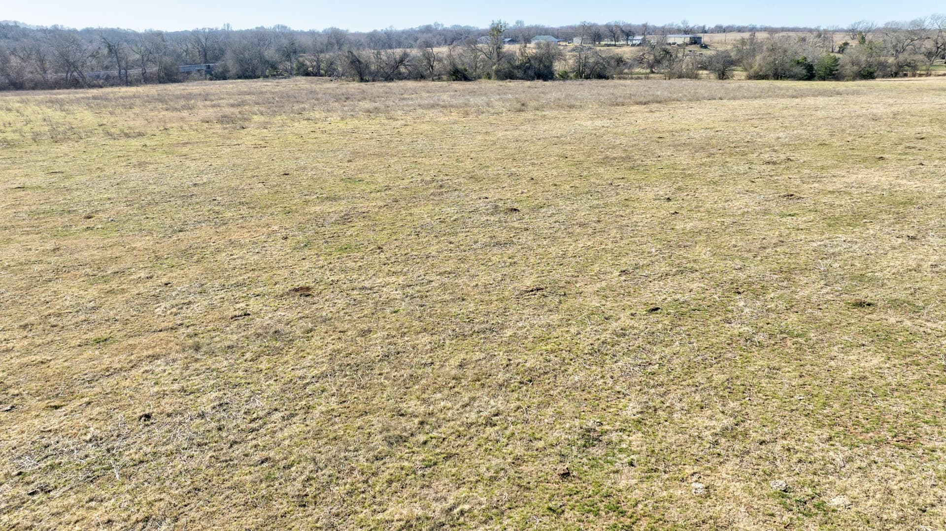 49 acres in Grayson County - photo 5