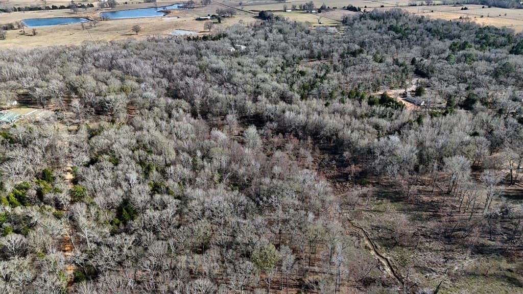 11.22 acres in Henderson County - photo 7