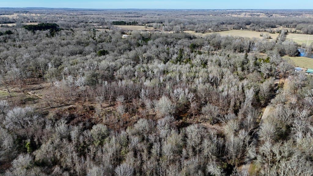 11.22 acres in Henderson County - photo 11
