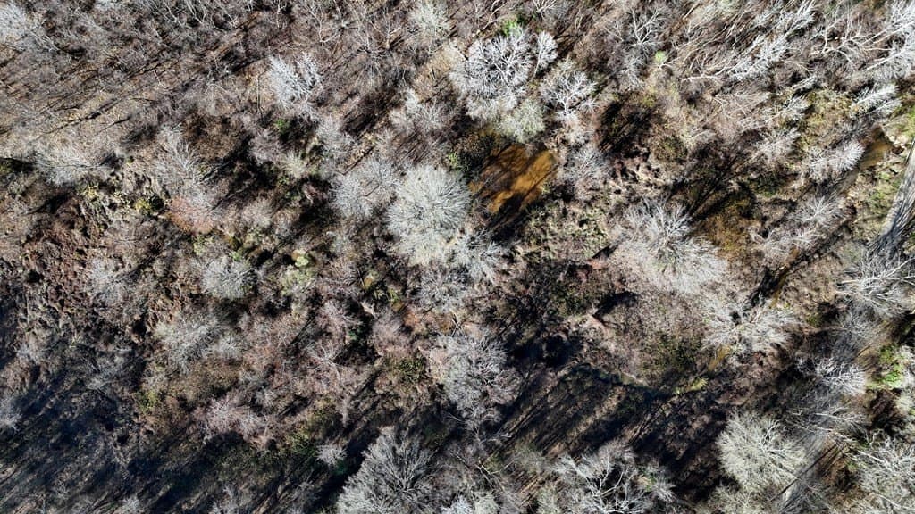 11.22 acres in Henderson County - photo 6