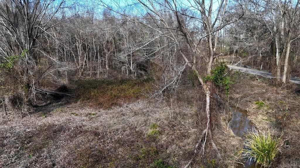11.22 acres in Henderson County - photo 5