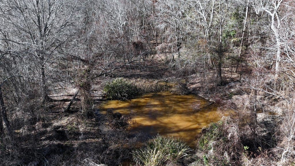 11.22 acres in Henderson County - photo 4