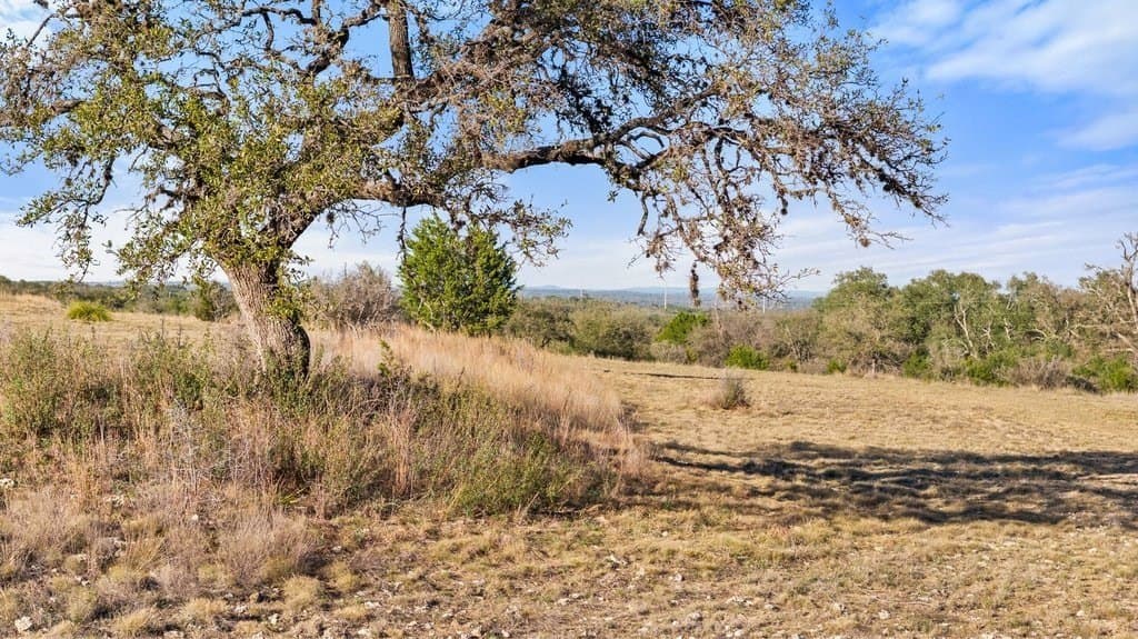10.97 acres in Blanco County - photo 9