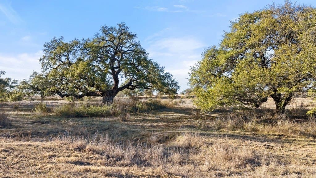 10.97 acres in Blanco County - photo 22