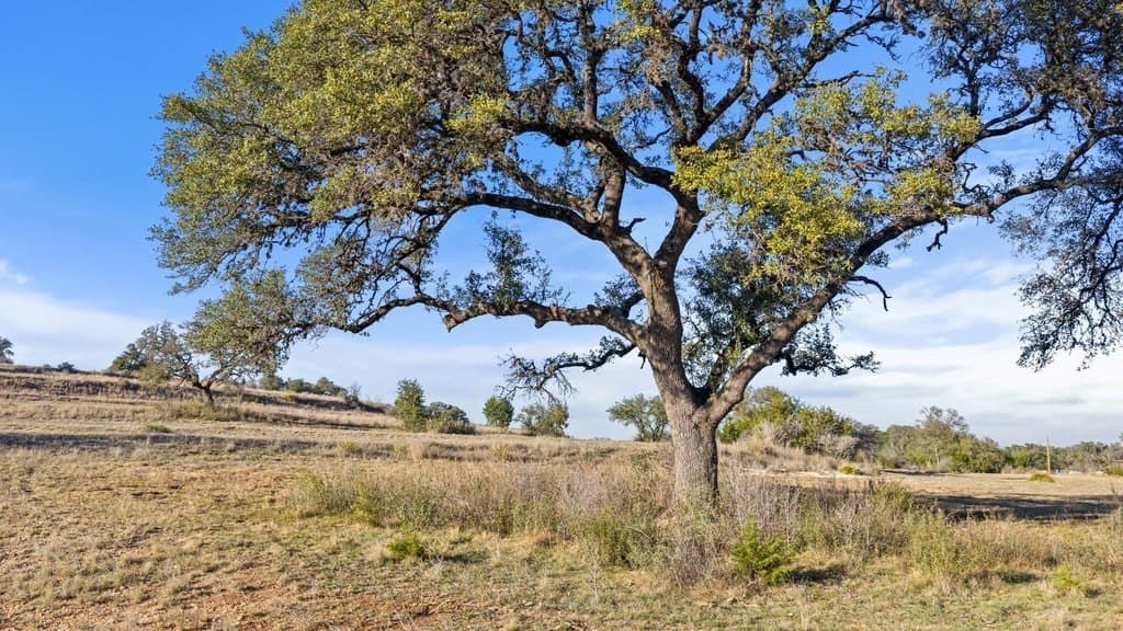 10.97 acres in Blanco County - photo 17