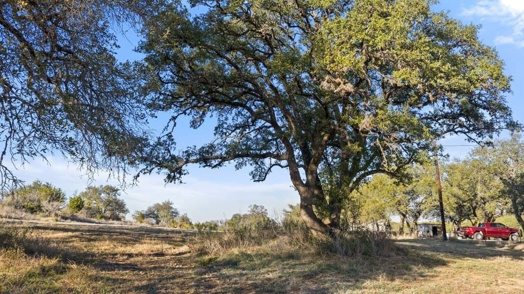 10.97 acres in Blanco County - photo 20