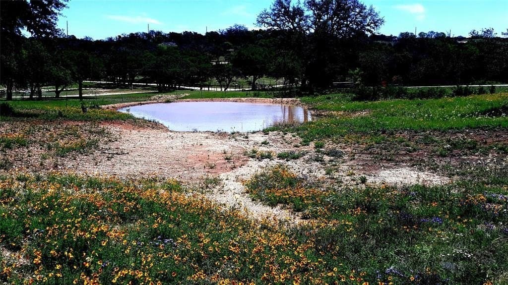 10.97 acres in Blanco County - photo 25
