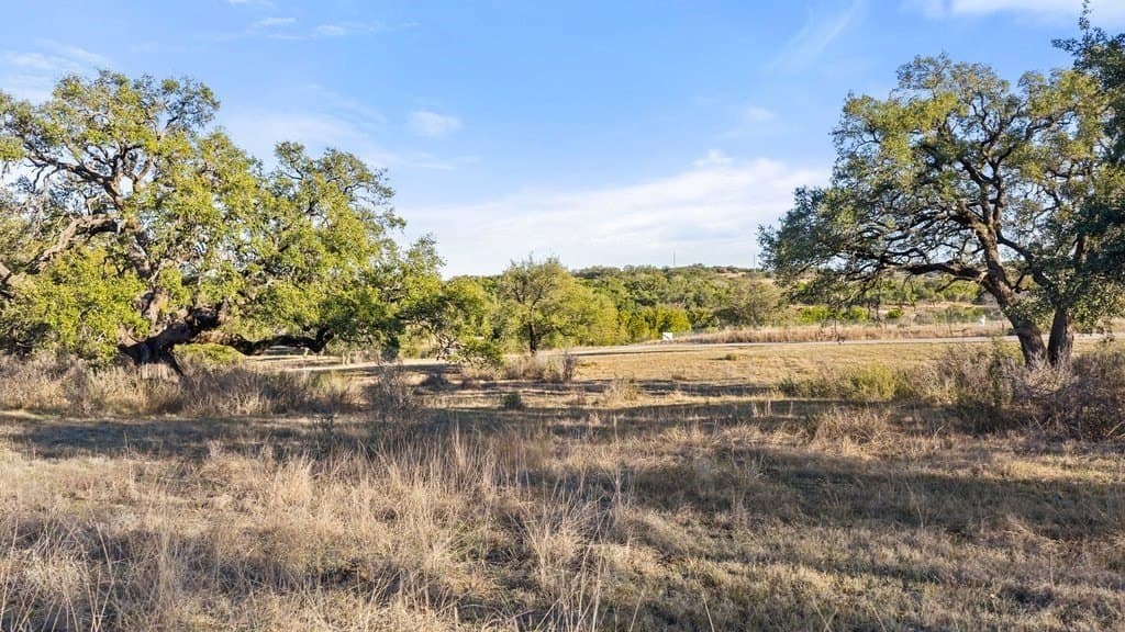10.97 acres in Blanco County - photo 7