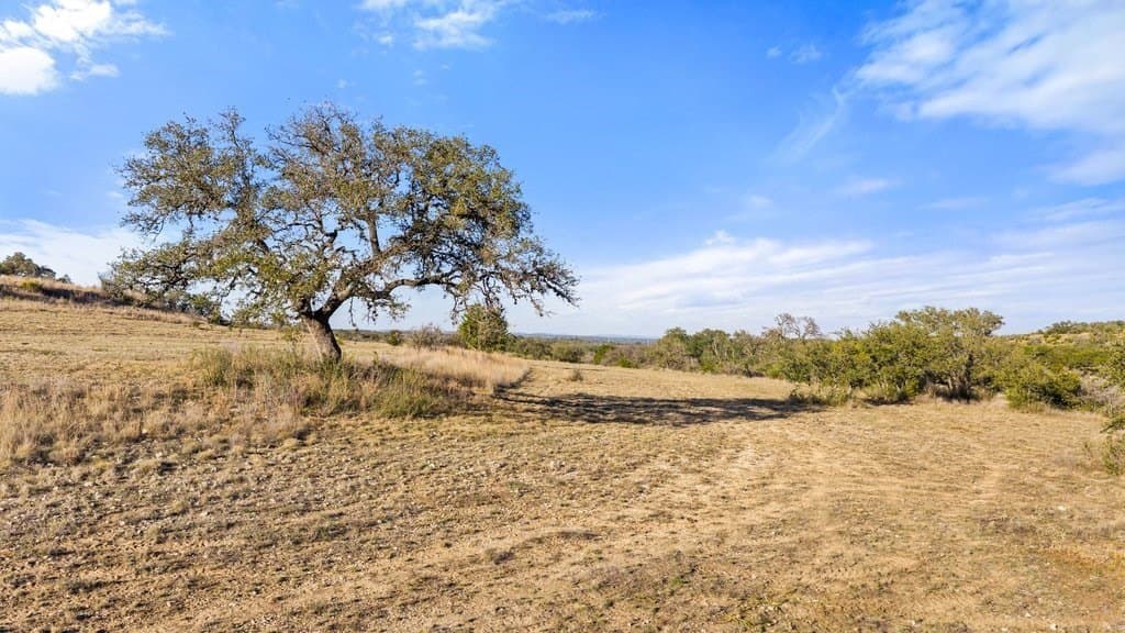 10.97 acres in Blanco County - photo 8