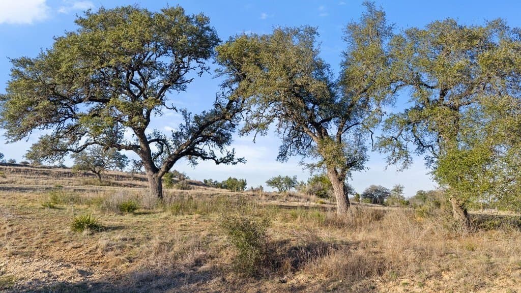 10.97 acres in Blanco County - photo 19