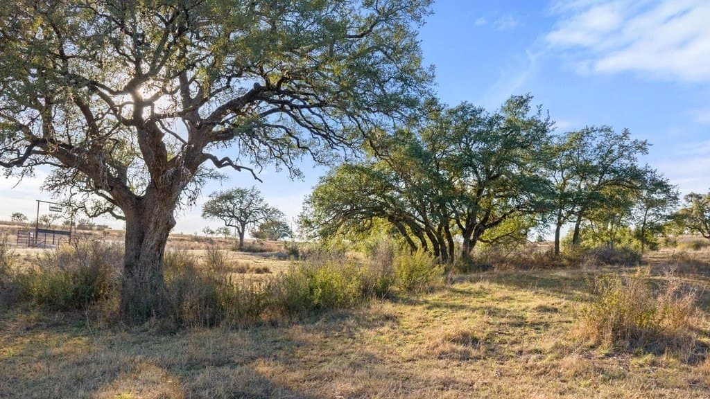 10.97 acres in Blanco County - photo 23