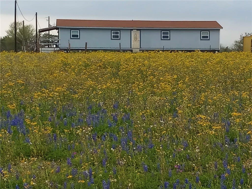 10 acres in Live Oak County gallery image 2