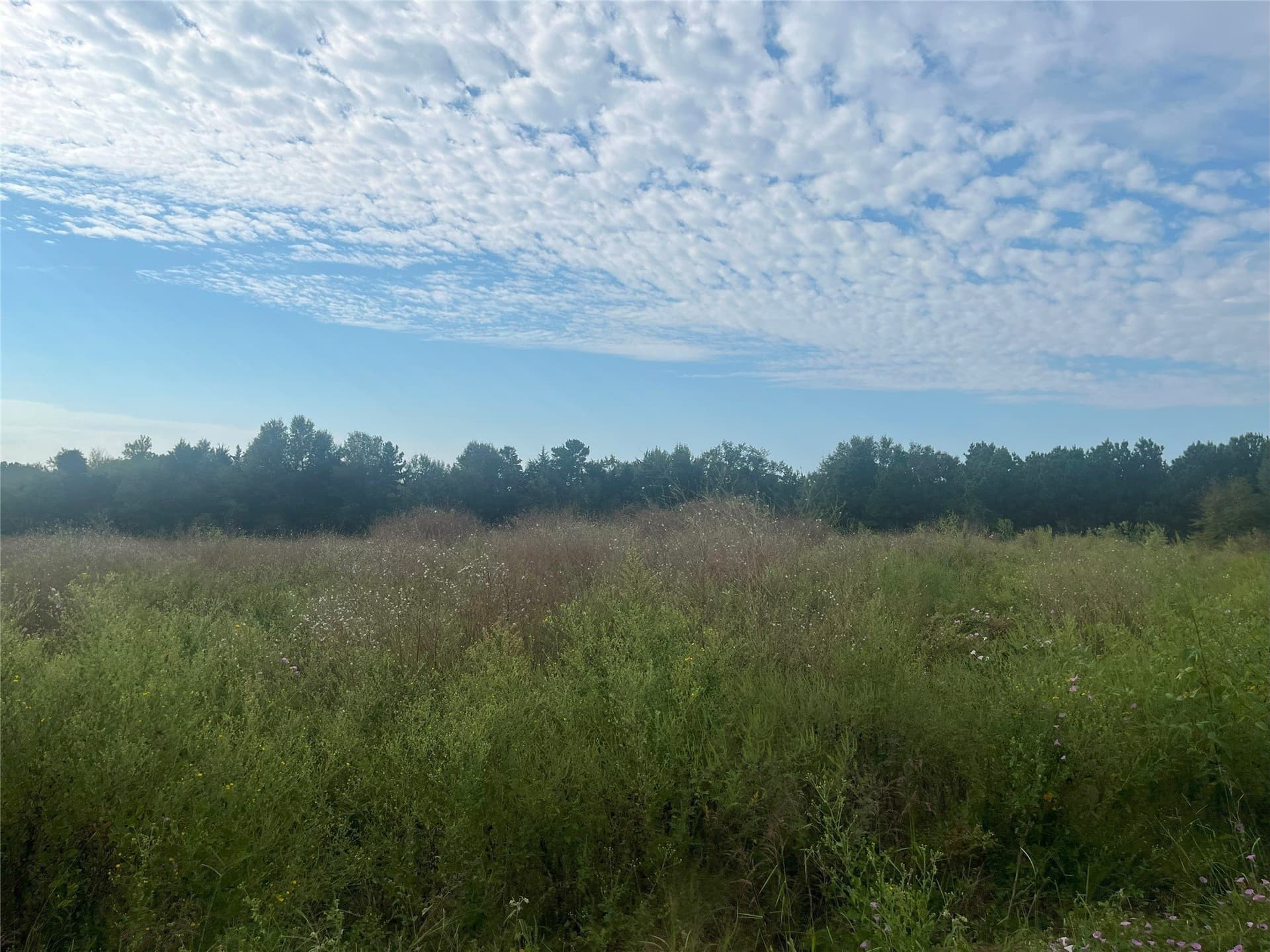 16.85 acres in Cherokee County - photo 8