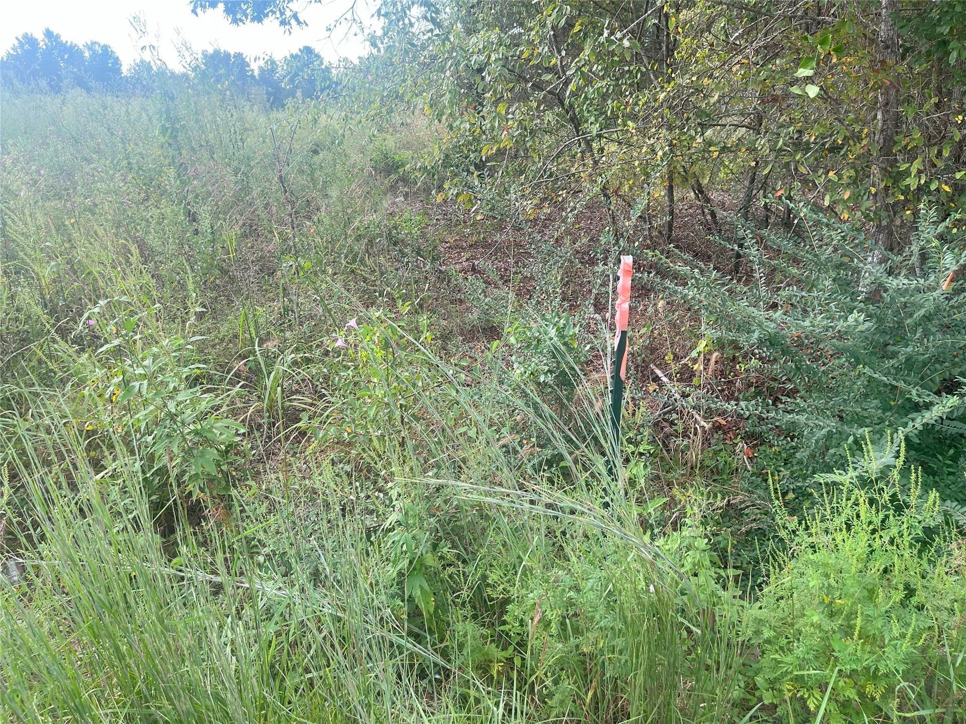 16.85 acres in Cherokee County - photo 6