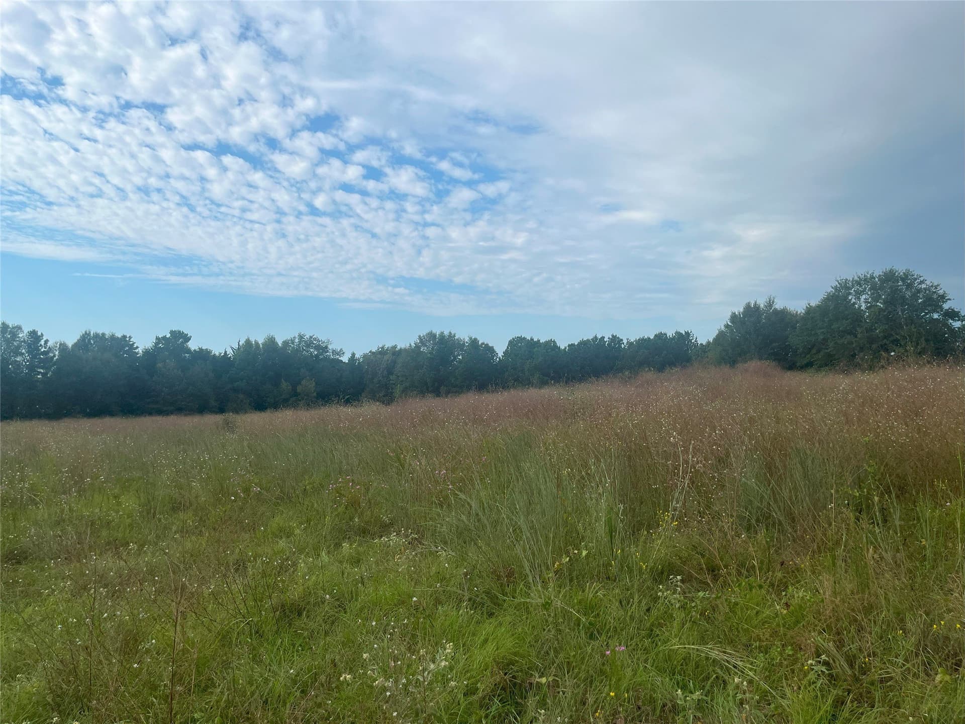 16.85 acres in Cherokee County - photo 10