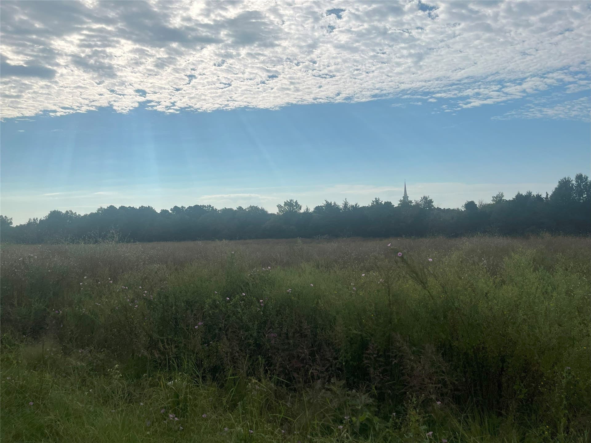 16.85 acres in Cherokee County - photo 9