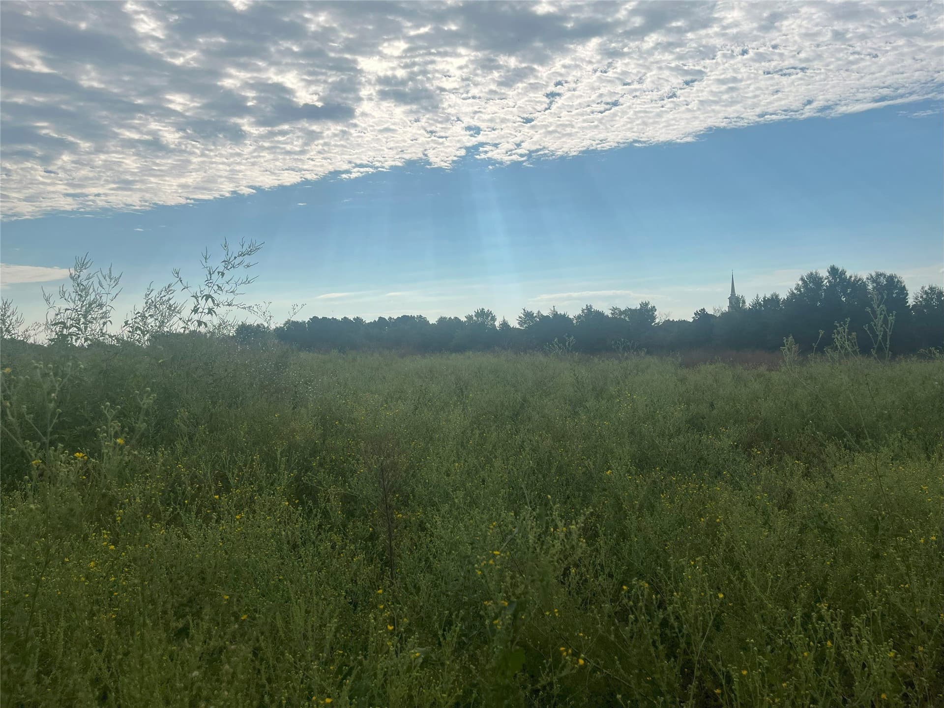 16.85 acres in Cherokee County - photo 7