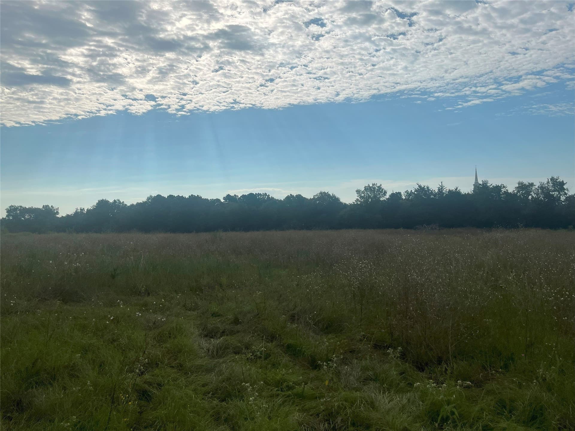 16.85 acres in Cherokee County - photo 12