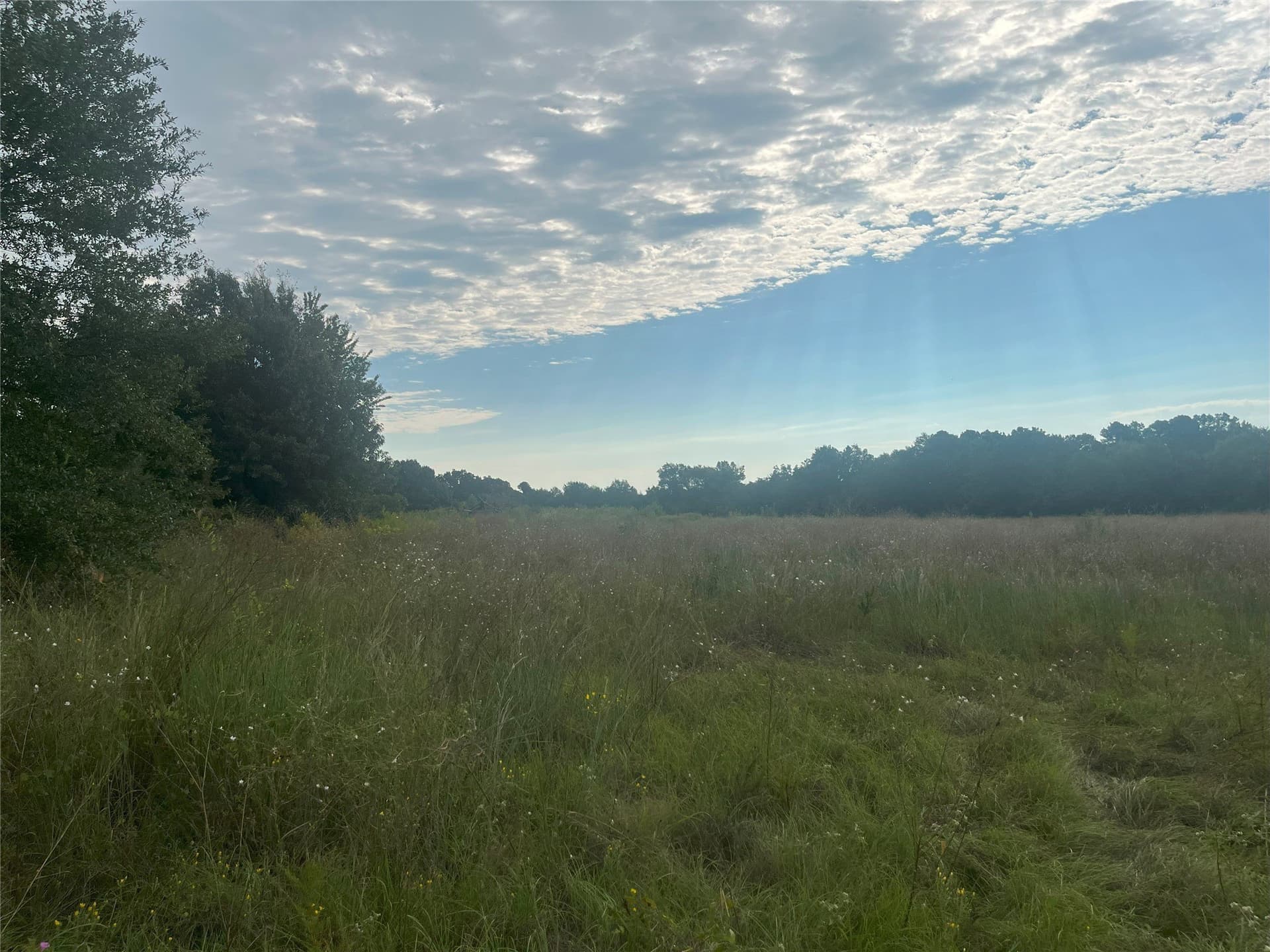 16.85 acres in Cherokee County - photo 11