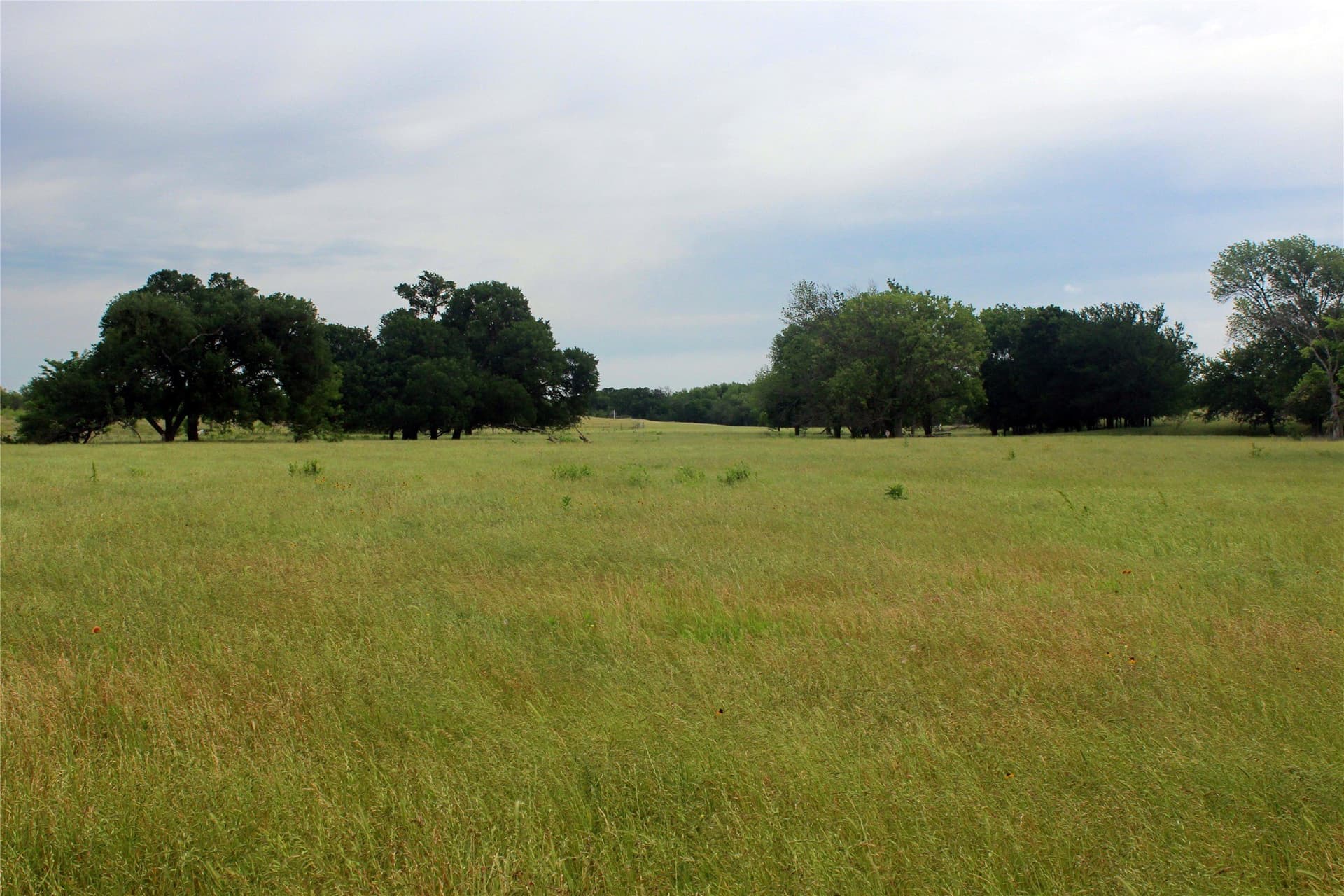 202.35 acres in Navarro County - photo 26