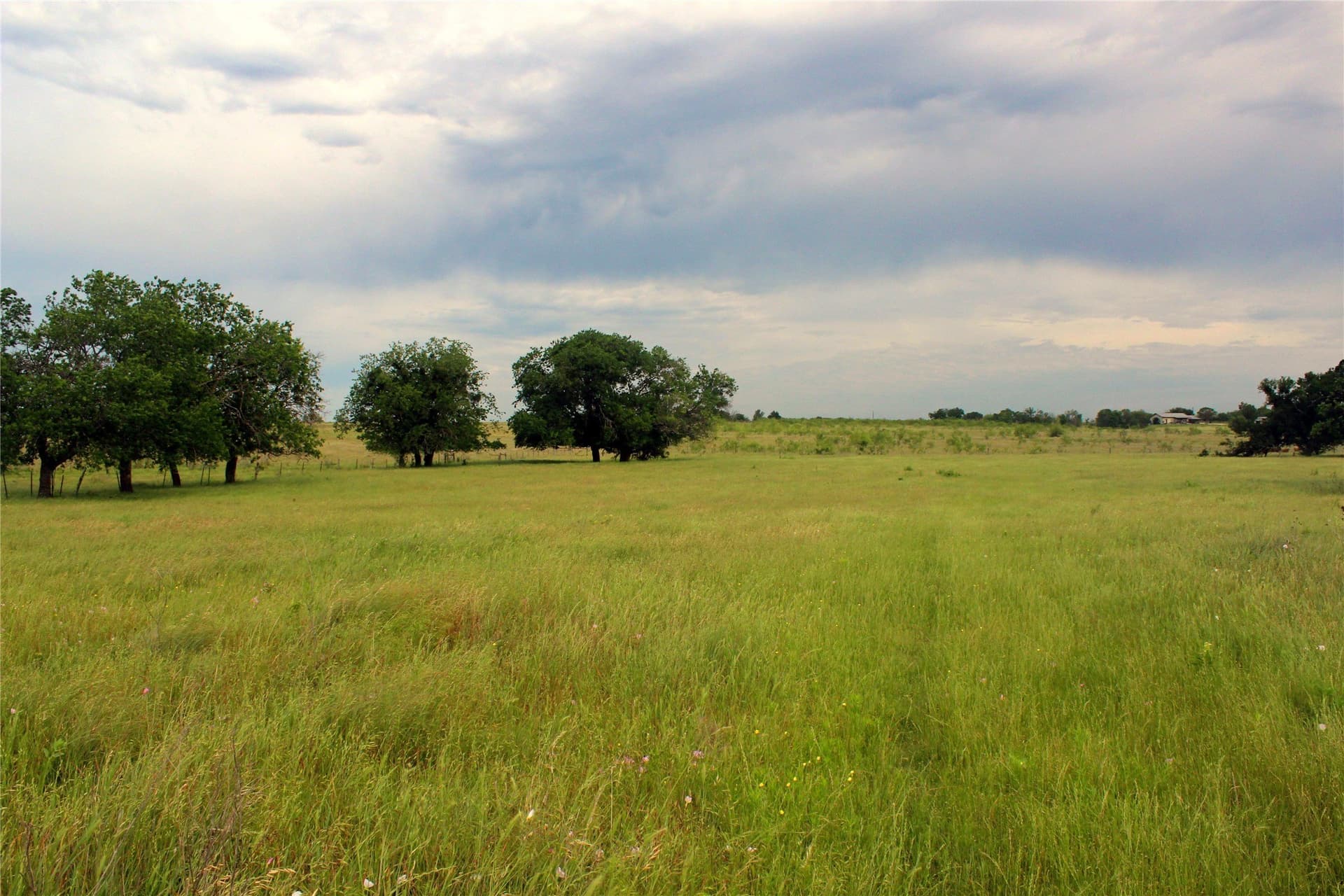 202.35 acres in Navarro County - photo 24