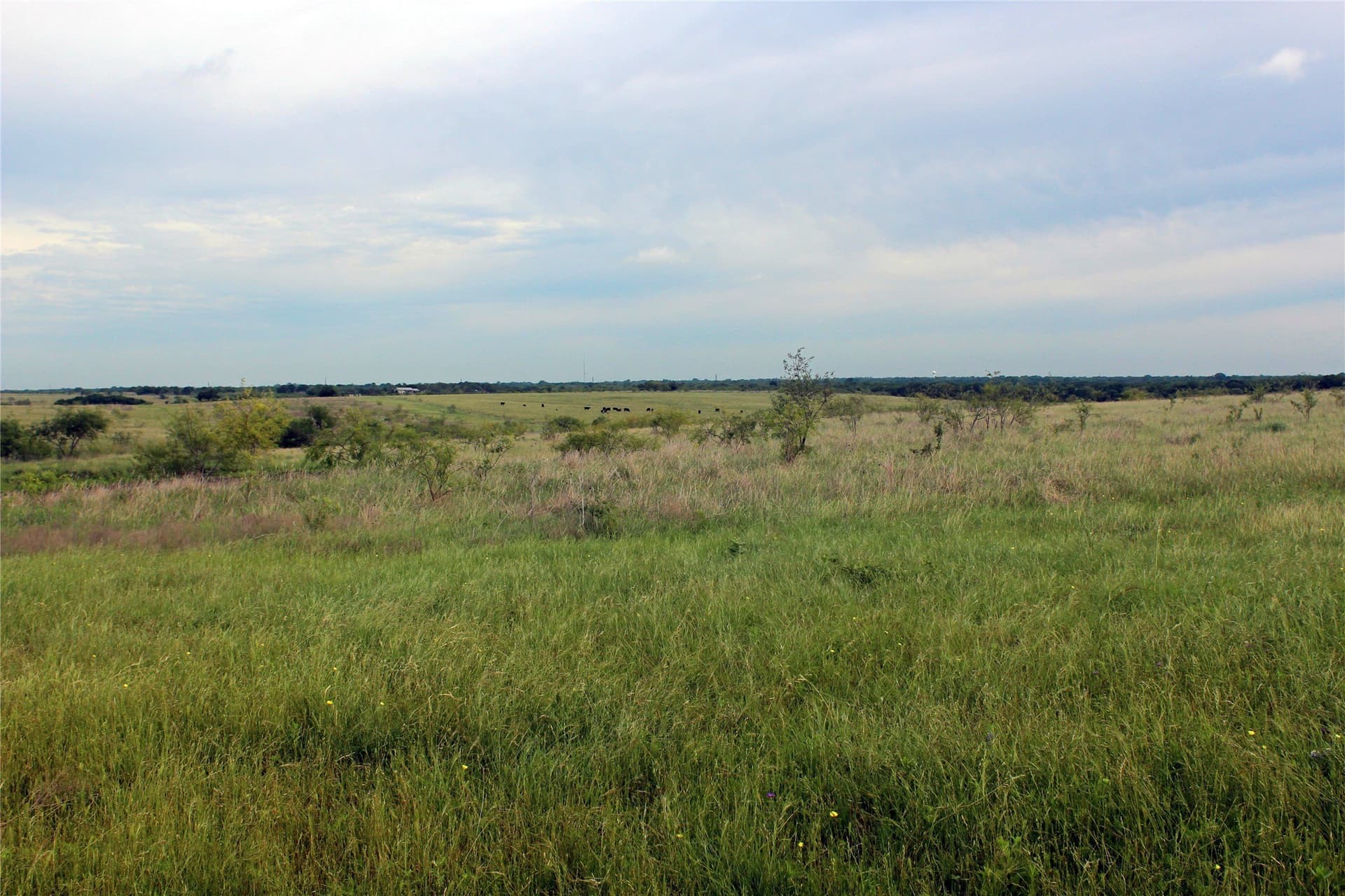 202.35 acres in Navarro County - photo 27