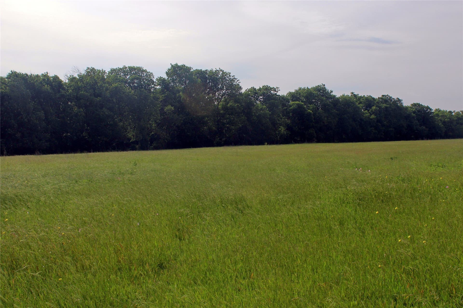 202.35 acres in Navarro County featured view