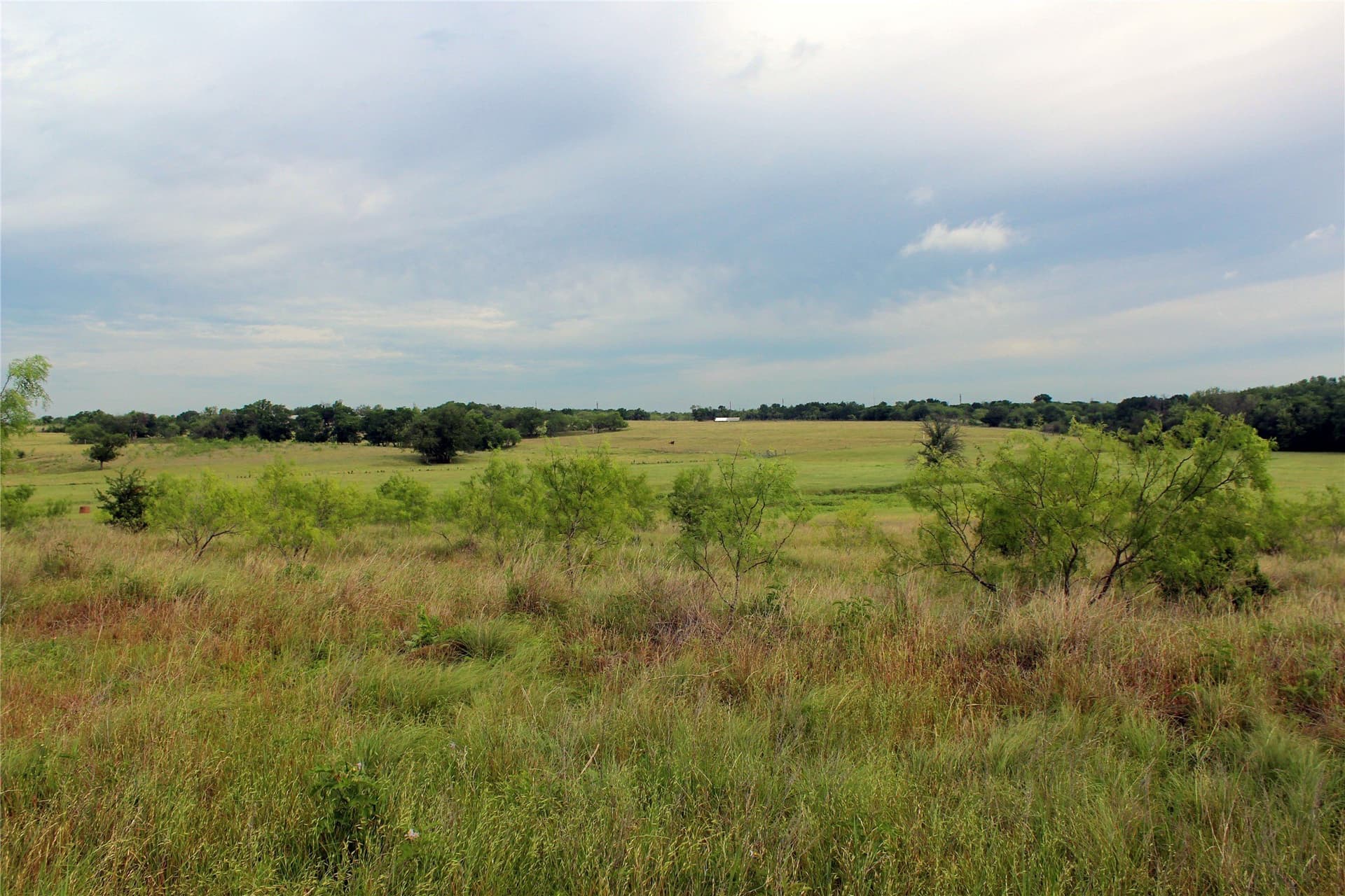 202.35 acres in Navarro County - photo 9