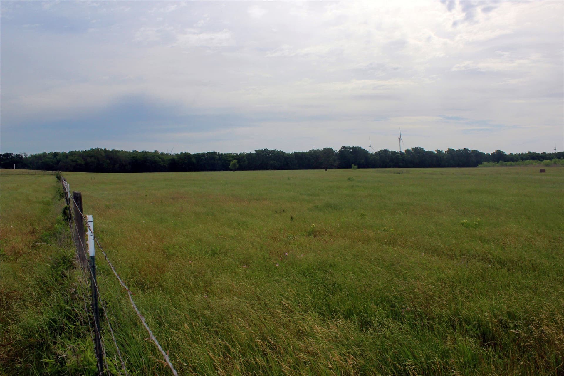 202.35 acres in Navarro County - photo 29