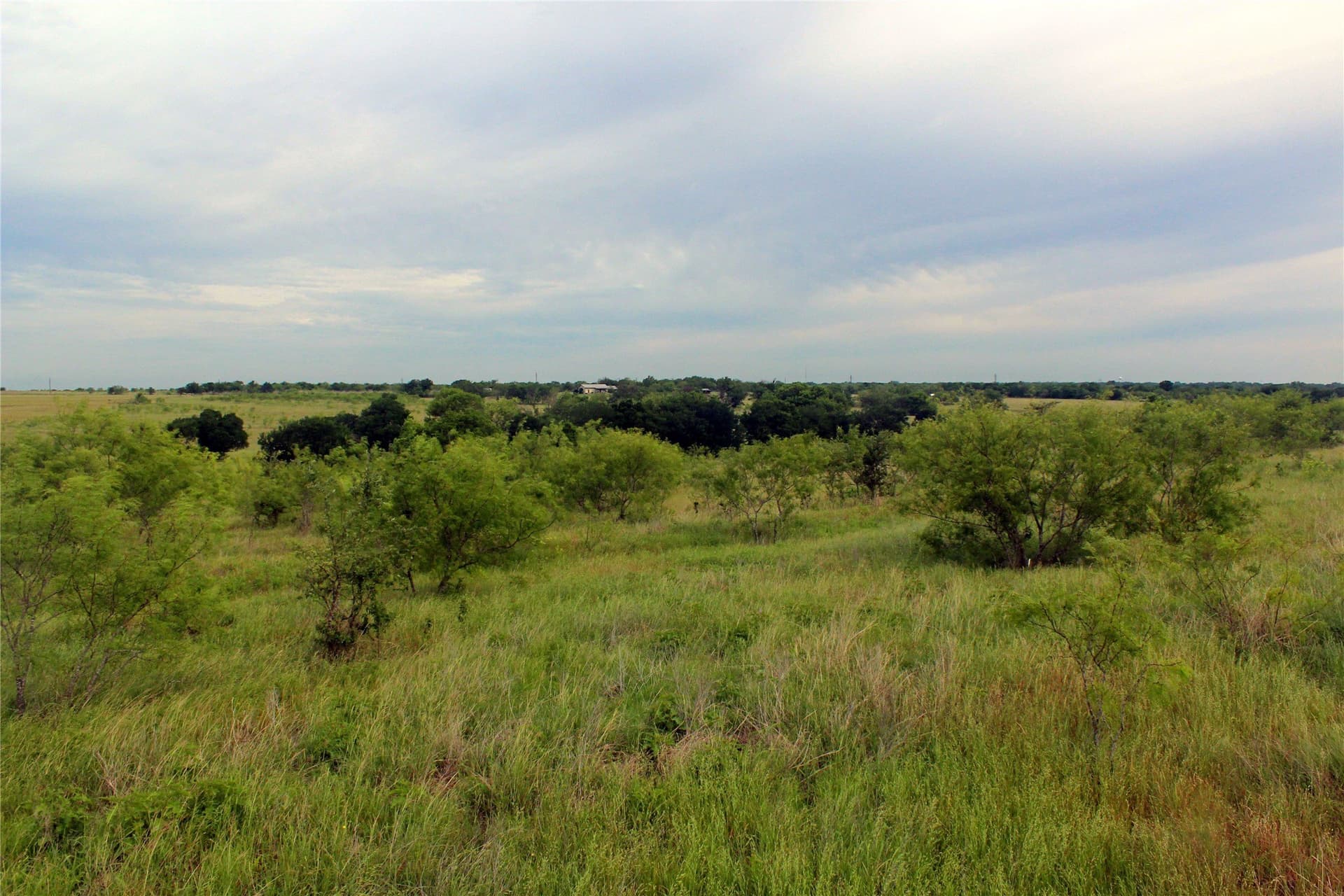 202.35 acres in Navarro County - photo 25