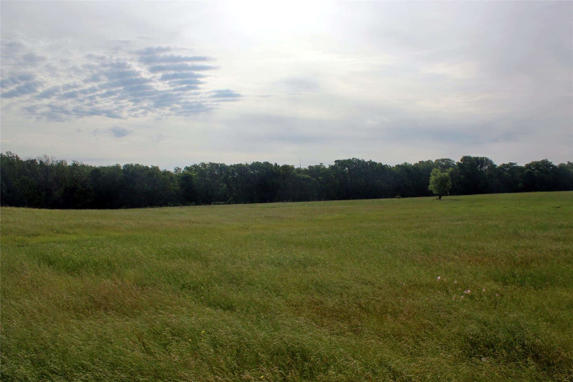 202.35 acres in Navarro County - photo 7