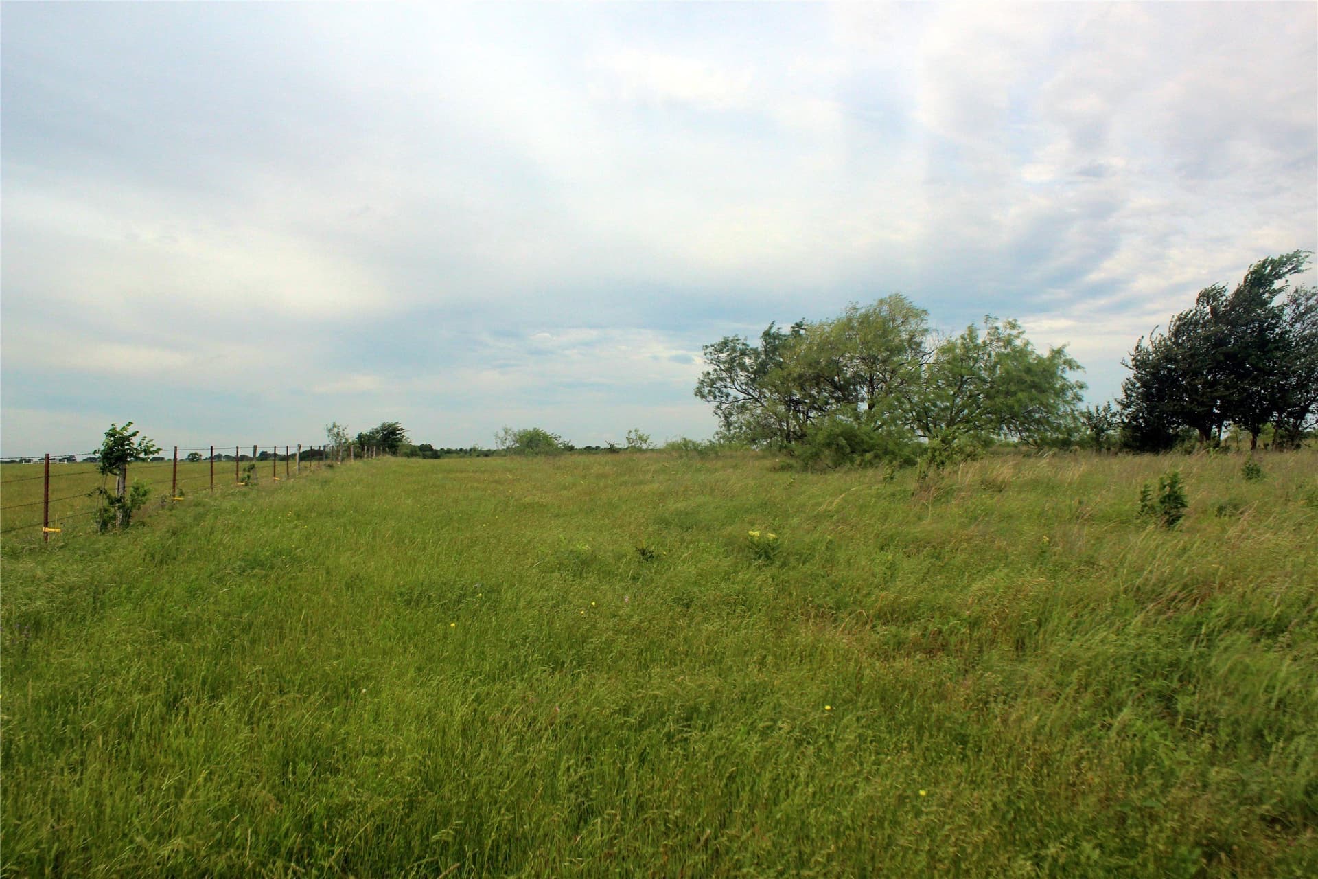 202.35 acres in Navarro County - photo 23