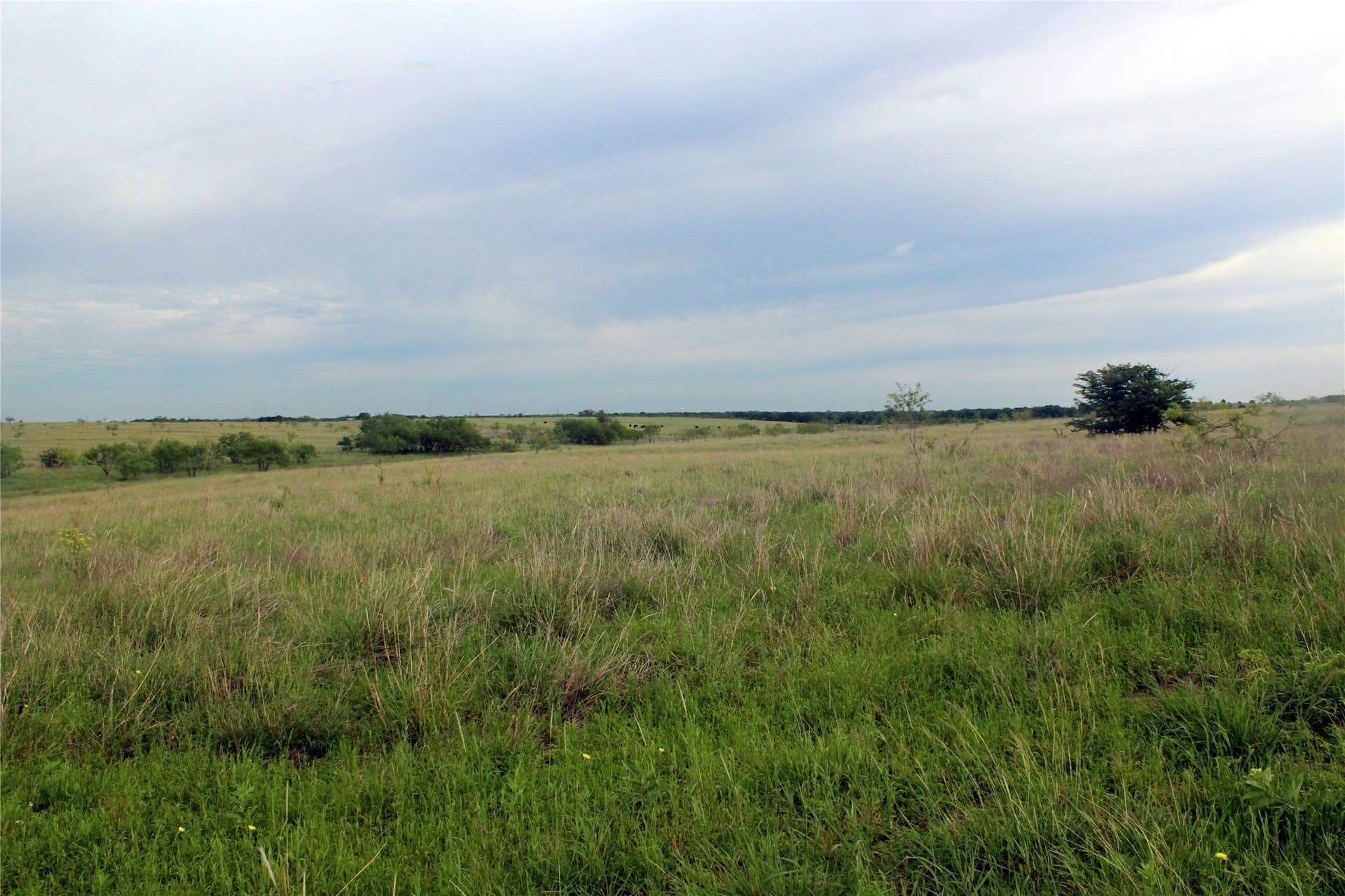 202.35 acres in Navarro County - photo 22
