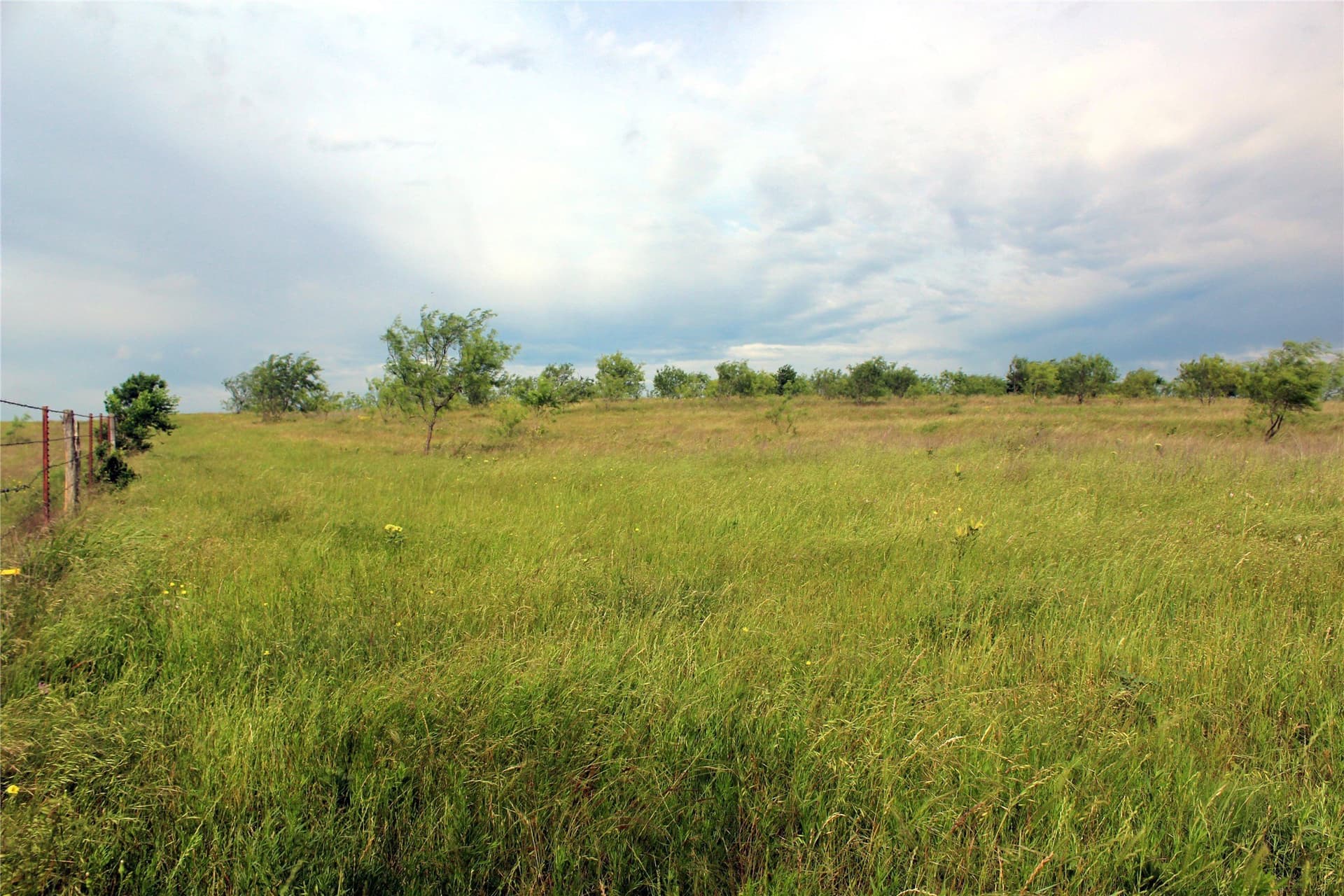 202.35 acres in Navarro County - photo 21
