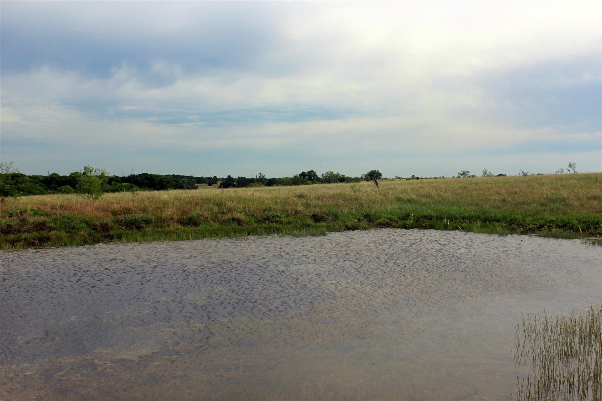 202.35 acres in Navarro County gallery image 3