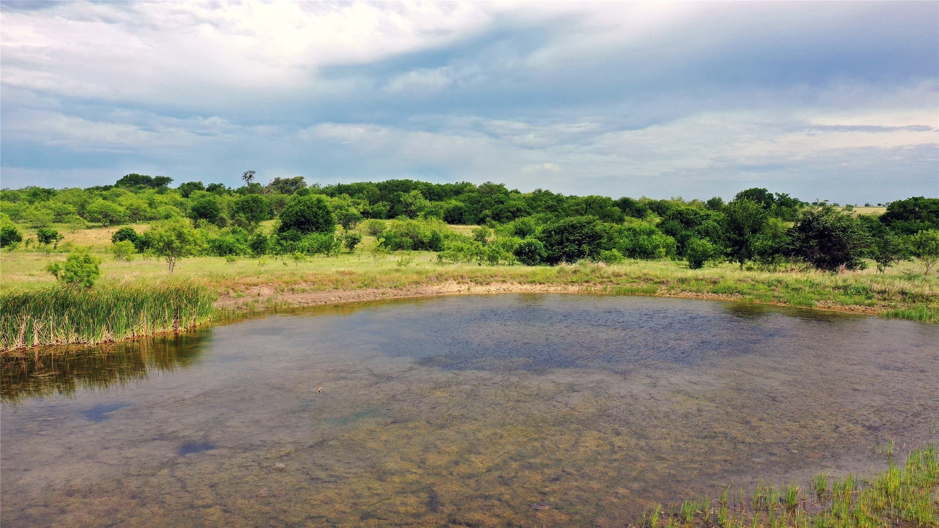 202.35 acres in Navarro County - photo 18